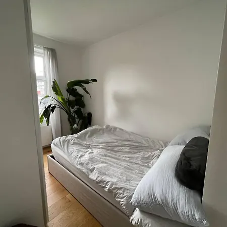 Lovely In Frederiksberg *